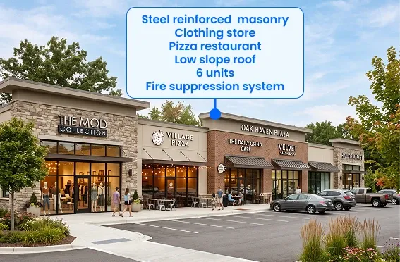 Image of a strip mall with steel reinforced masonry, a clothing store, a pizza restaurant, low slope roof, 6 units, and a fire suppression system.