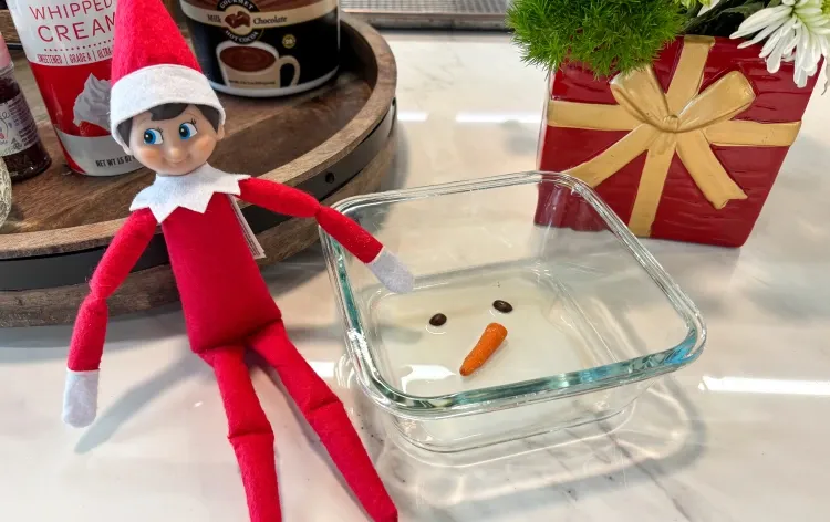 Image showing Addy the Address Elf next to a melted snowman