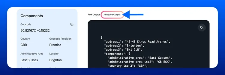 View the analyzed output