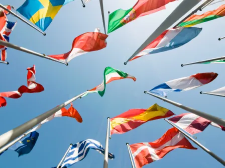 Image of international flags against a blue sky