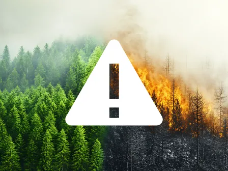 warning sign over a forrest fire