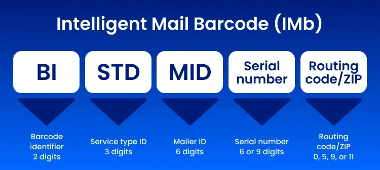 Infographic showing how the Intelligent Mail barcode works.